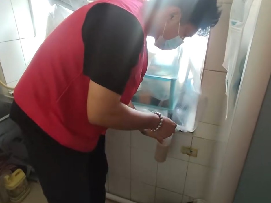 图片31_看图王.jpg